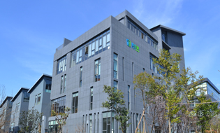 上海璞泰来新能源科技股份有限公司