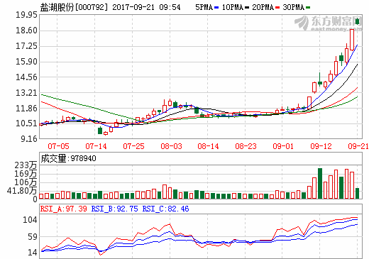 盐湖股份 盐湖股份