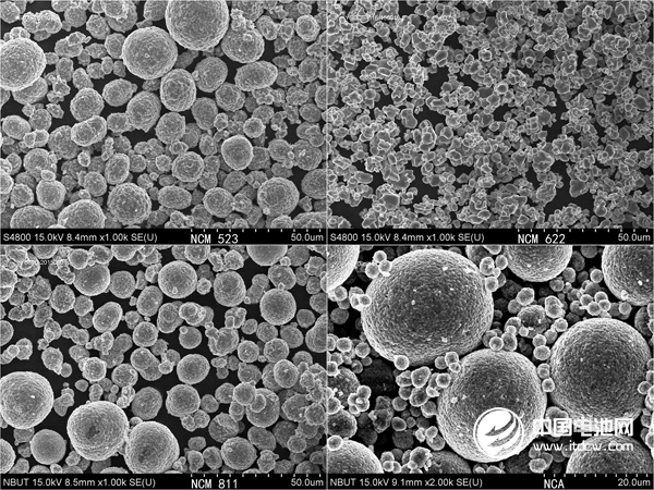 容百锂电产品 中国电池网资料图