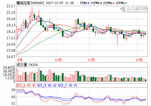 藏格控股：子公司藏格钾肥获大浪滩黑北钾盐矿探矿权 
