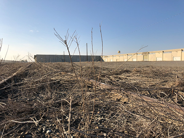 探访贾跃亭美国造车工厂:没有任何生产设备 仅一名员工打卡 探访贾跃亭美国造车工厂:没有任何生产设备 仅一名员工打卡