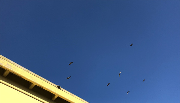 探访贾跃亭美国造车工厂：没有任何生产设备 仅一名员工打卡