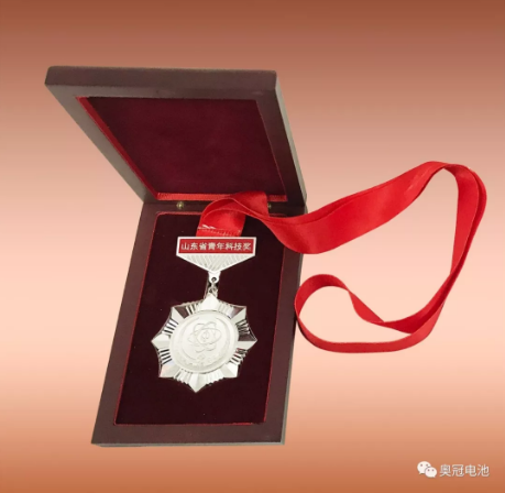 青年科技奖奖章
