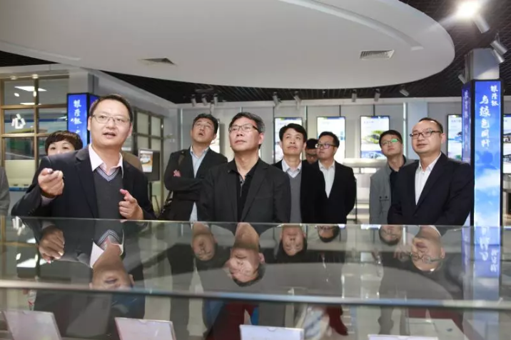 交通运输部综合规划司张大为副司长一行调研银隆新能源