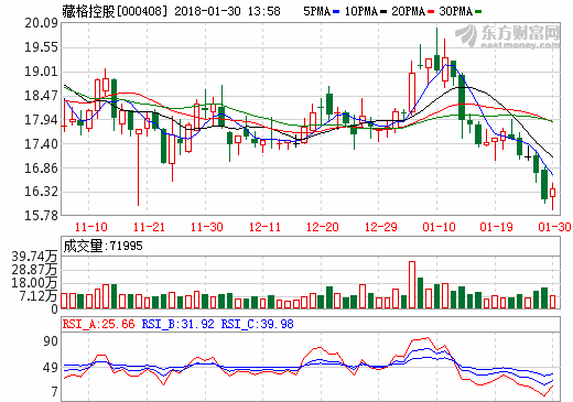 藏格控股：全资孙公司签订2万吨/年碳酸锂项目工程设计合同