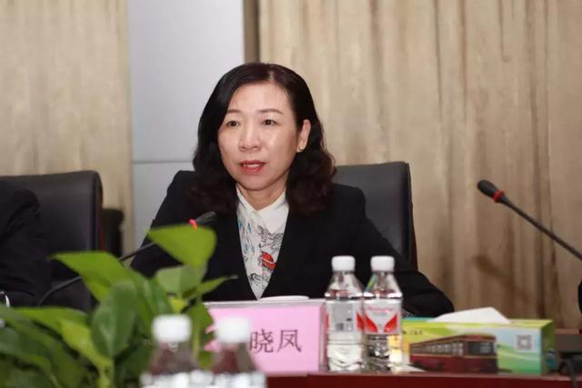 珠海副市长芦晓凤