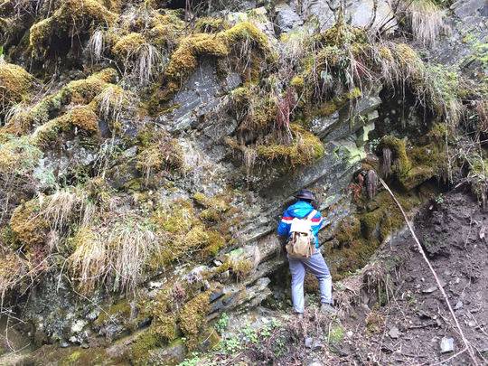 近年四川锂矿探明超200万吨 或成新能源车电池“主力军”