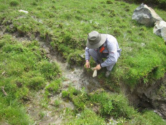 近年四川锂矿探明超200万吨 或成新能源车电池“主力军”