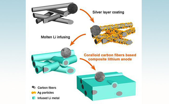 珊瑚状碳纤维熔融灌锂的复合锂金属负极