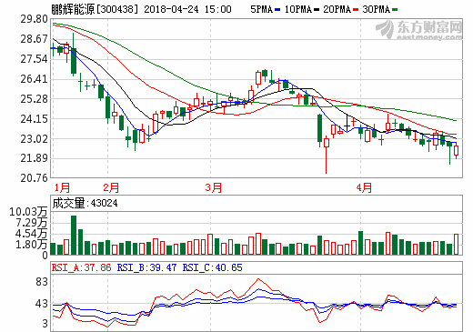 鹏辉能源 鹏辉能源