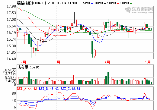 藏格控股：牵手多家上市公司 碳酸锂项目加速推进