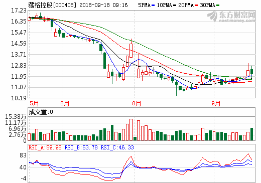 藏格控股 藏格控股