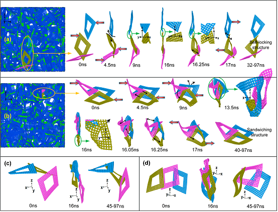 超压缩与回复过程中，局部微结构动力学演化细节及其蕴含的介观机械互锁现象