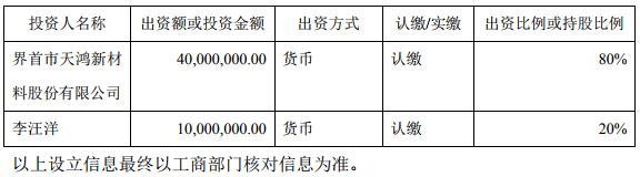公司及各投资人、股东的投资规模、方式和持股比例