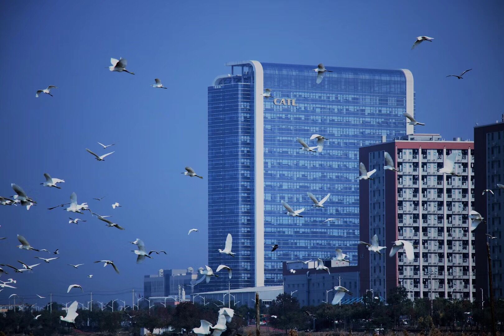 CATL宁德总部大厦 CATL宁德总部大厦