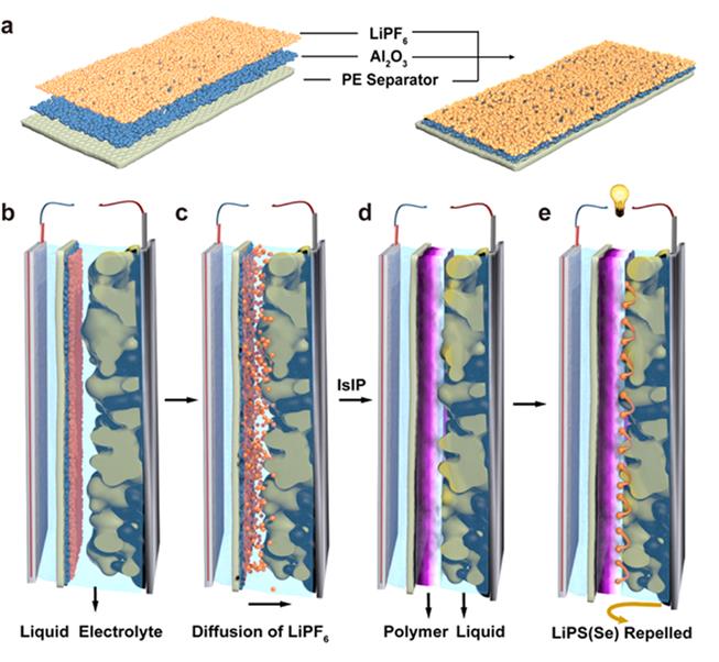 化学所提出混合固液电解质结构设计策略 化学所提出混合固液电解质结构设计策略