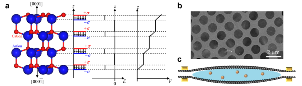 BeO纤锌矿结构极性原子模型与石墨烯液相反应池