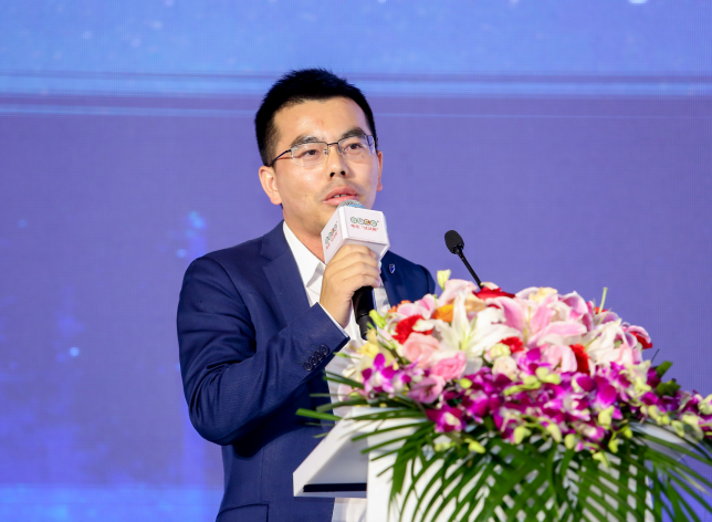 中国电池产业研究院院长、伊维经济研究院研究部总经理吴辉