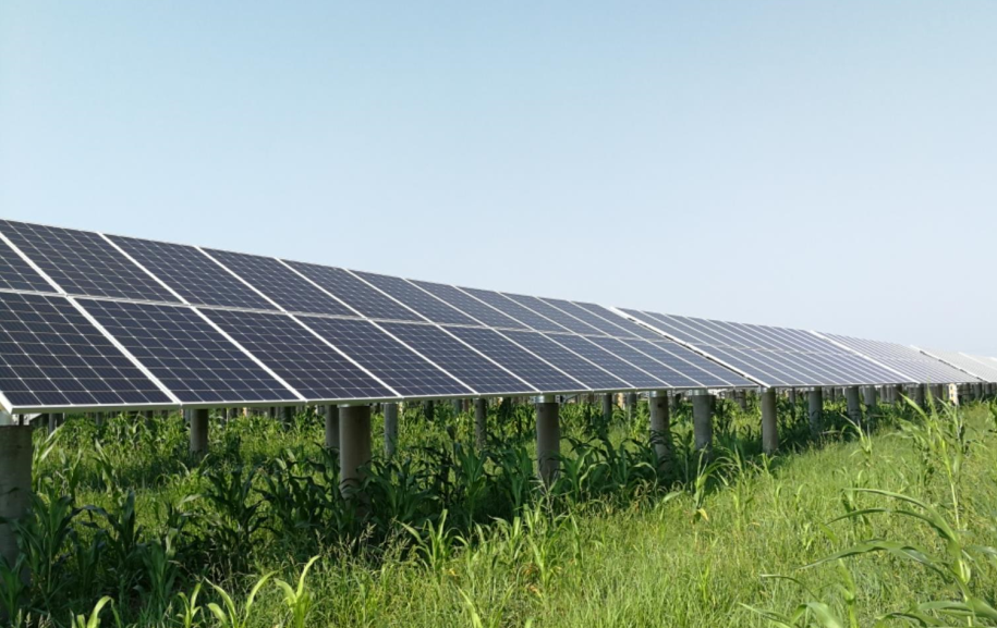 隆基股份 隆基股份