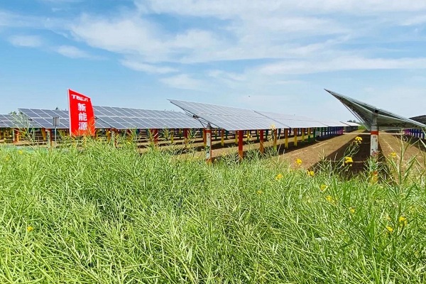 多晶硅,光伏,特变电工