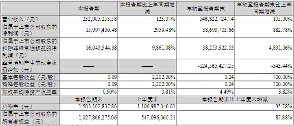 丰元股份2021年第三季度主要财务数据（单位/元）