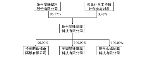 上述交易完成后沧州明珠锂离子电池隔膜业务股权架构