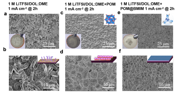 上海硅酸盐所锂金属电池双功能电解液设计研究获进展
