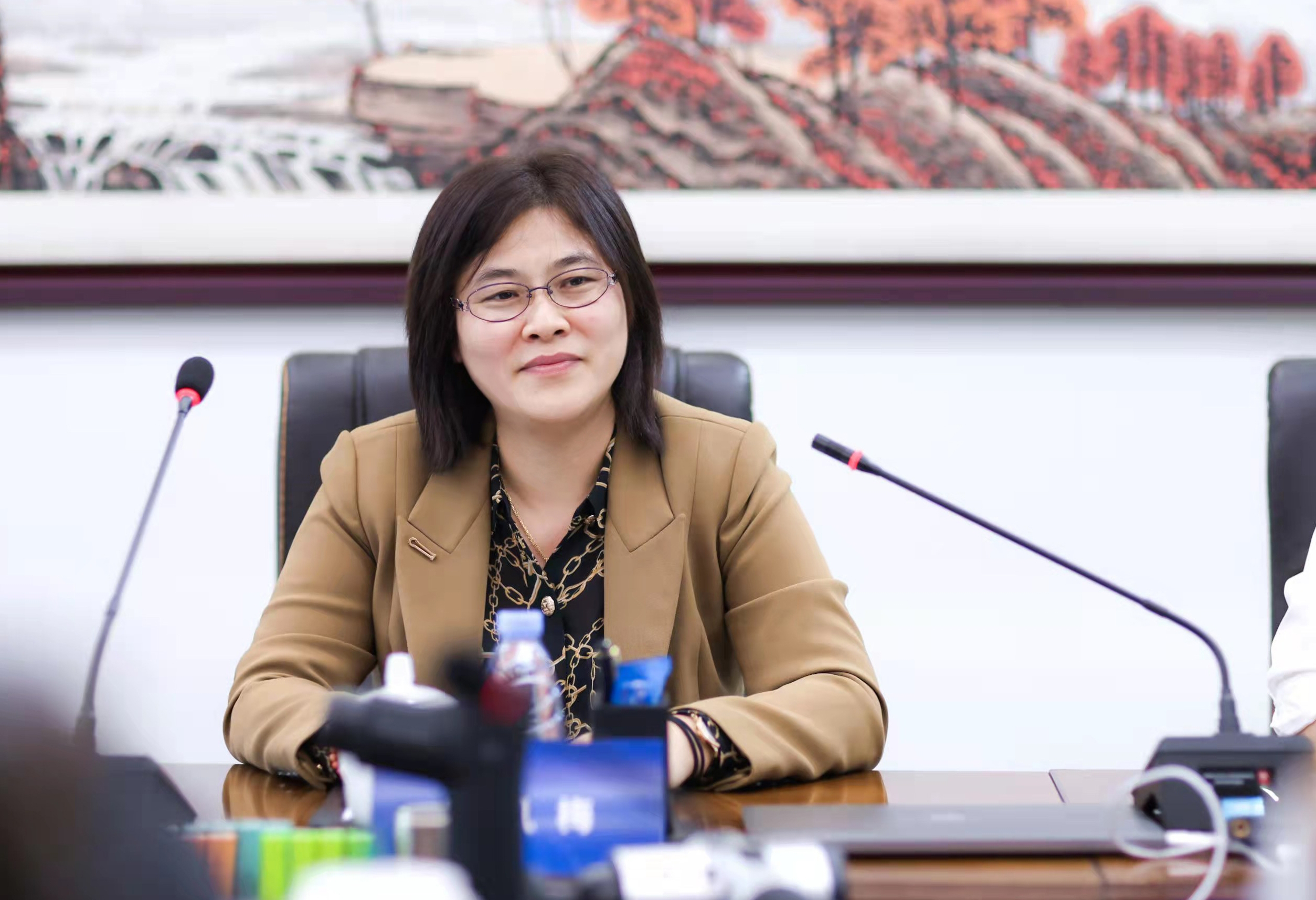 深圳市比克动力电池有限公司 副总裁 李凤梅