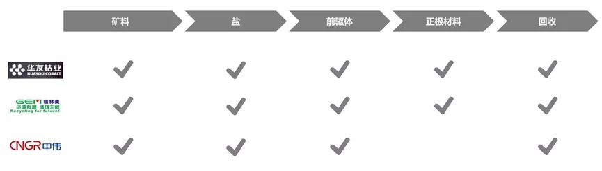 锂电材料价格普涨环境下，何为企业破局之策？