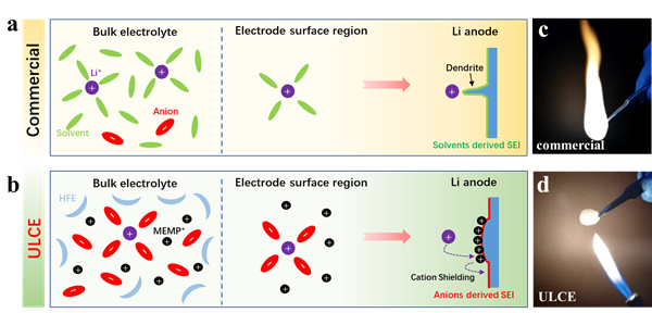 图1 不同电解液溶剂化结构和锂金属界面化学行为流程图及燃烧性测试