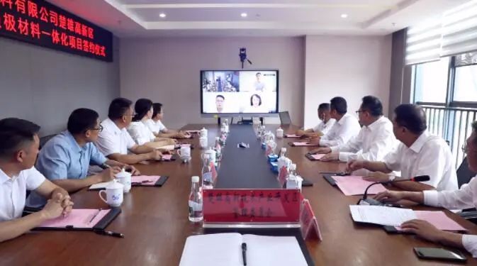 奇高新能源,负极材料,锂电池