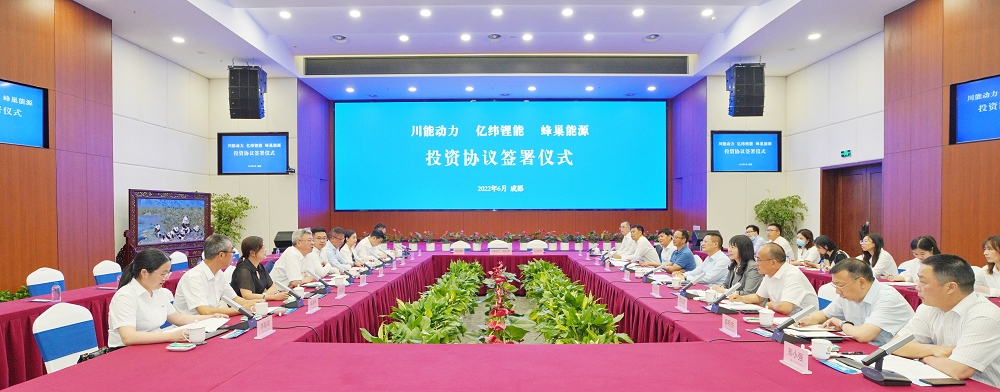 蜂巢能源,锂电池,锂盐