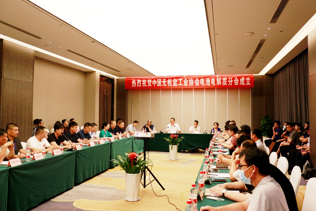中国无机盐工业协会电池电解质分会正式成立