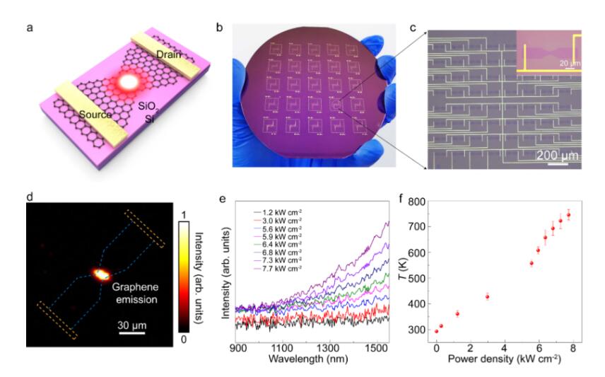 硅基集成4英寸石墨烯热电子发光阵列器件