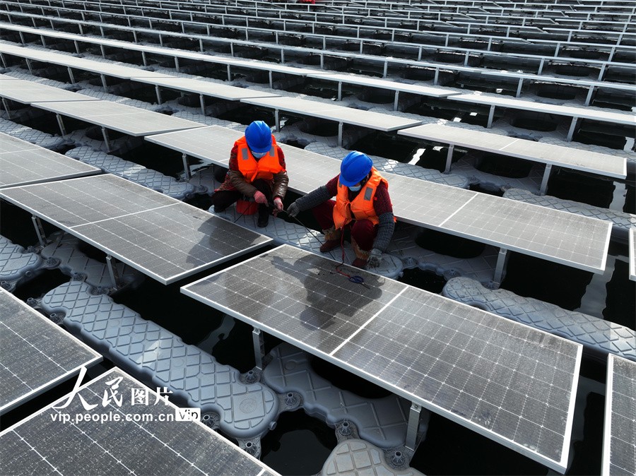 山东聊城：202兆瓦水上漂浮式光伏电站即将投产发电