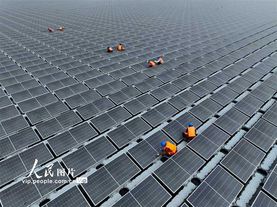 山东聊城：202兆瓦水上漂浮式光伏电站即将投产发电