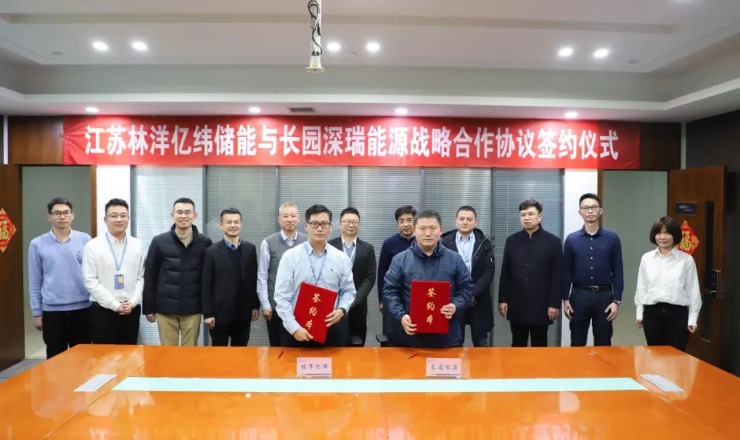 图片来源：林洋能源