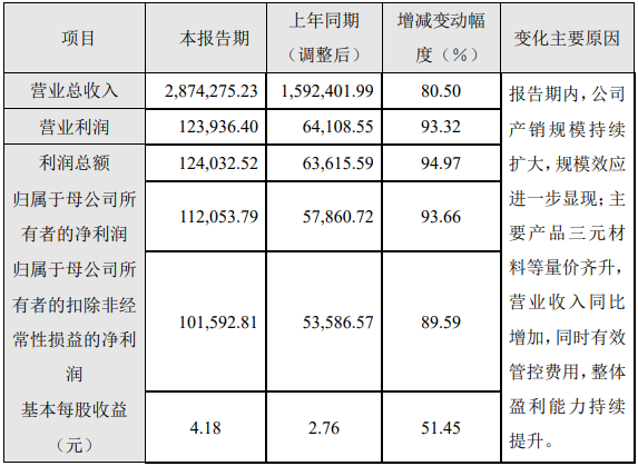厦钨新能2022年主要财务指标以及变动原因分析
