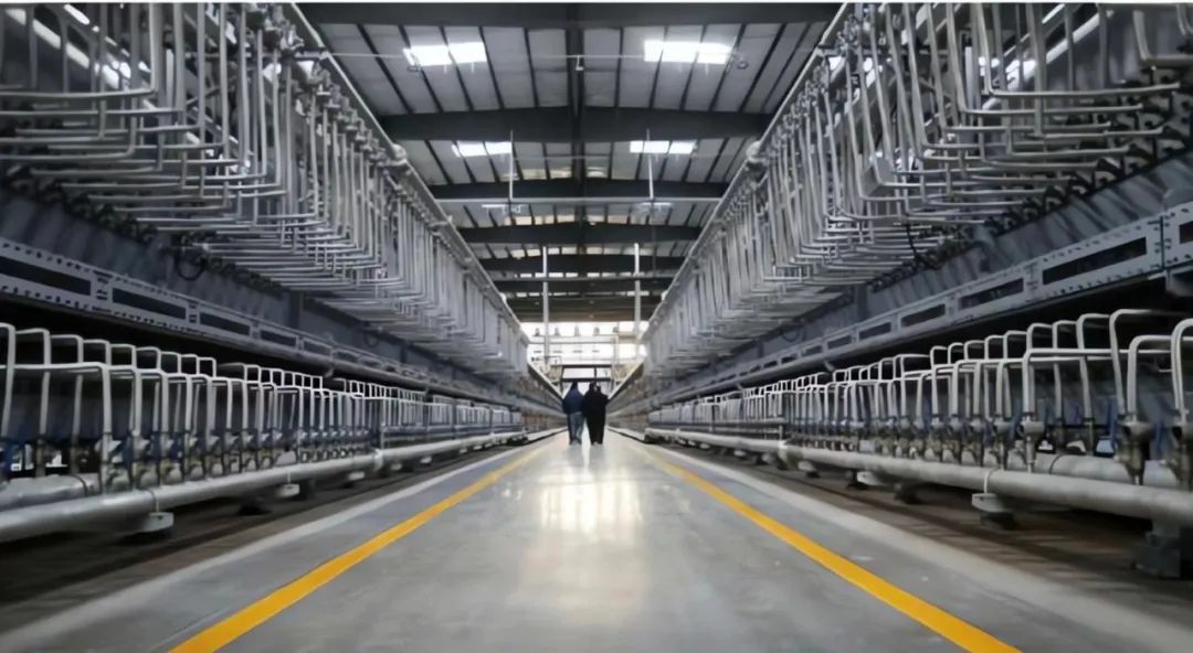 图片来源：丰元股份