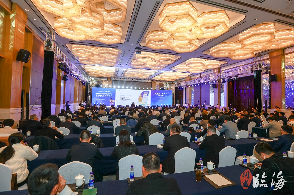 电池百人会“问道”临海暨2023中国钠电池产业生态圈企业家峰会现场