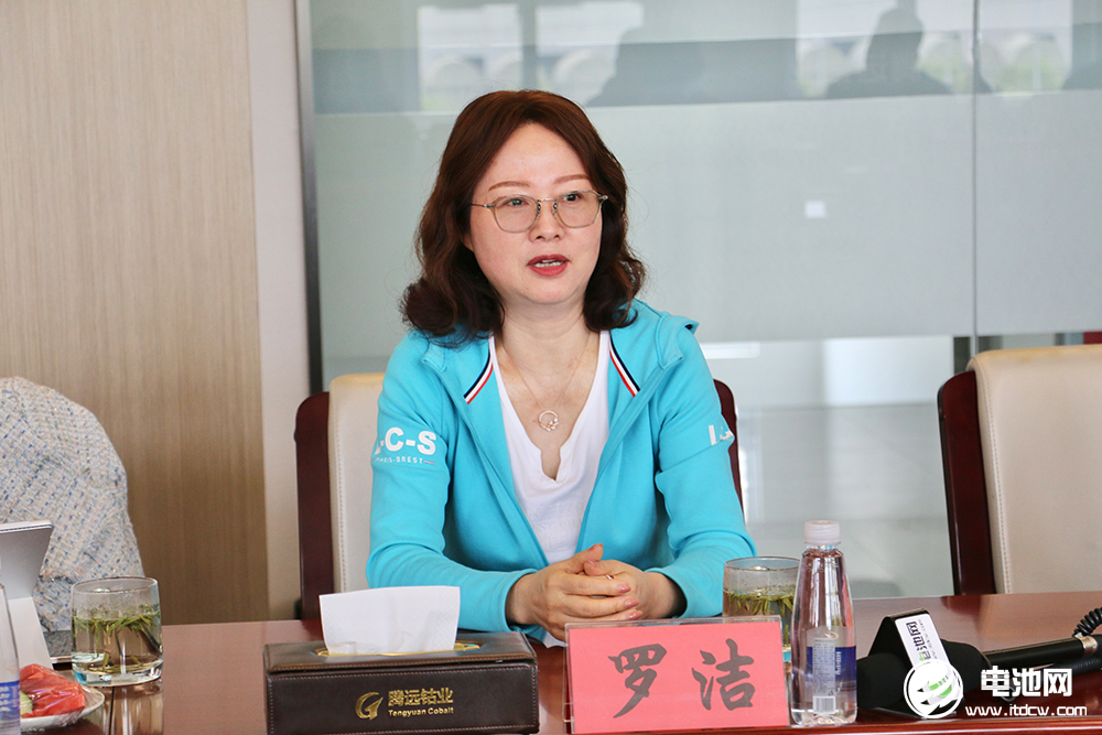中国电池新能源产业链调研团一行参观考察腾远钴业