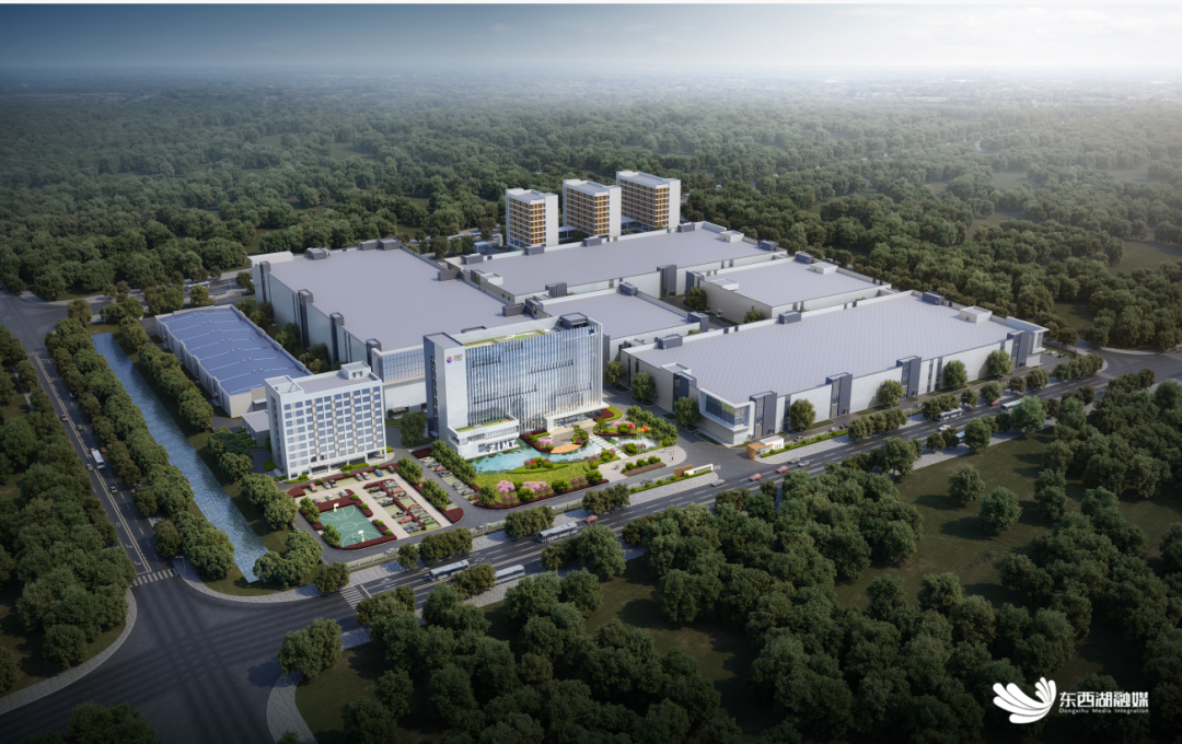 图片来源：东西湖区融媒体中心