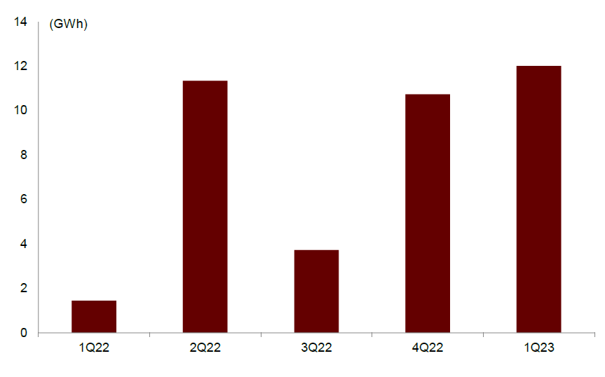 图表24：一带一路国家新增项目容量