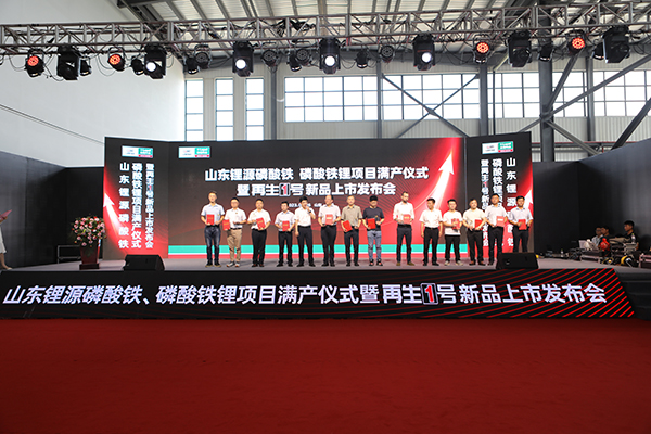 山东菏泽6.25万吨磷酸铁锂、10万吨磷酸铁项目