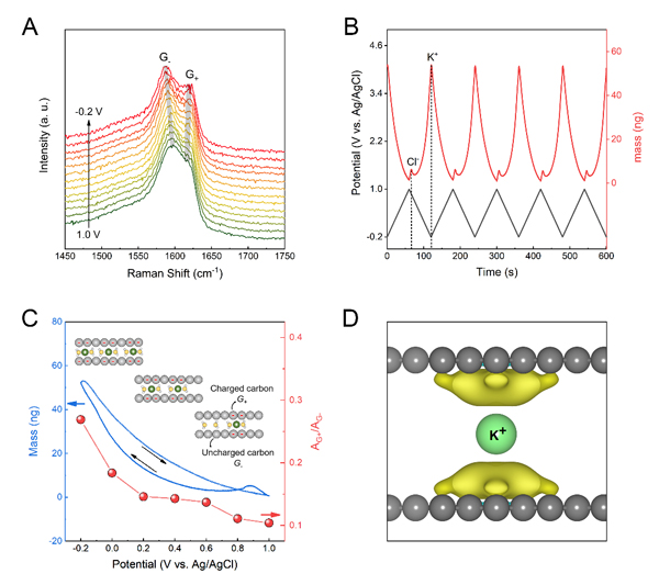 图4. 层状限域双电层电容的储能机理分析