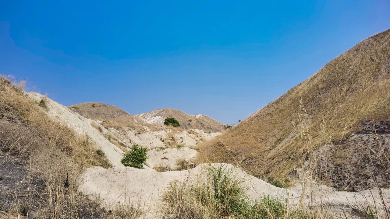 图片来源：紫金矿业