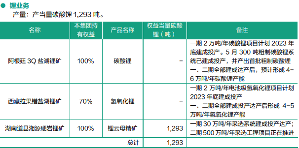 紫金矿业2023年上半年锂业务开展情况