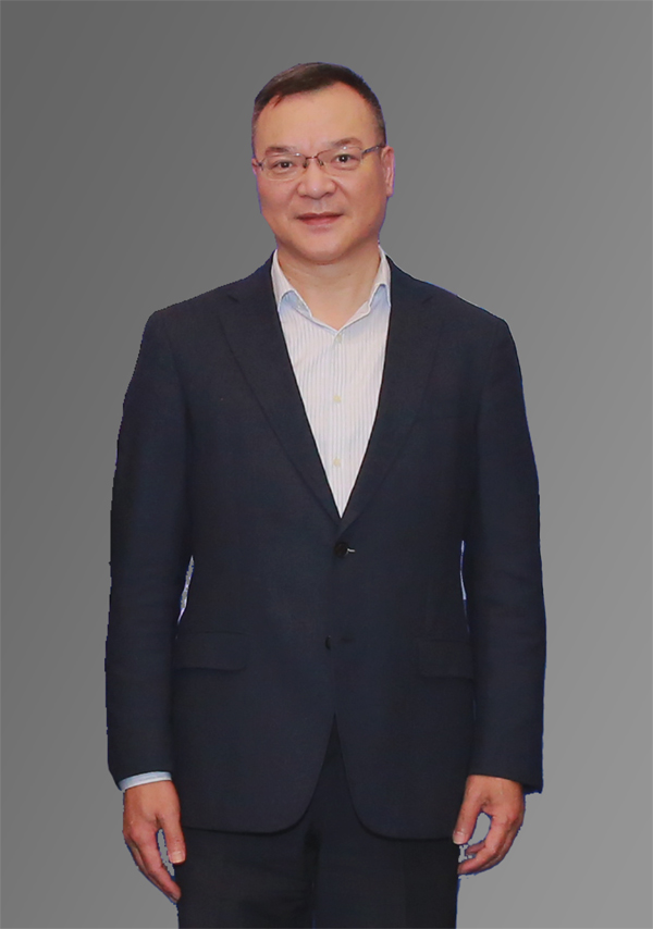 维科技术股份有限公司董事长/总裁陈良琴
