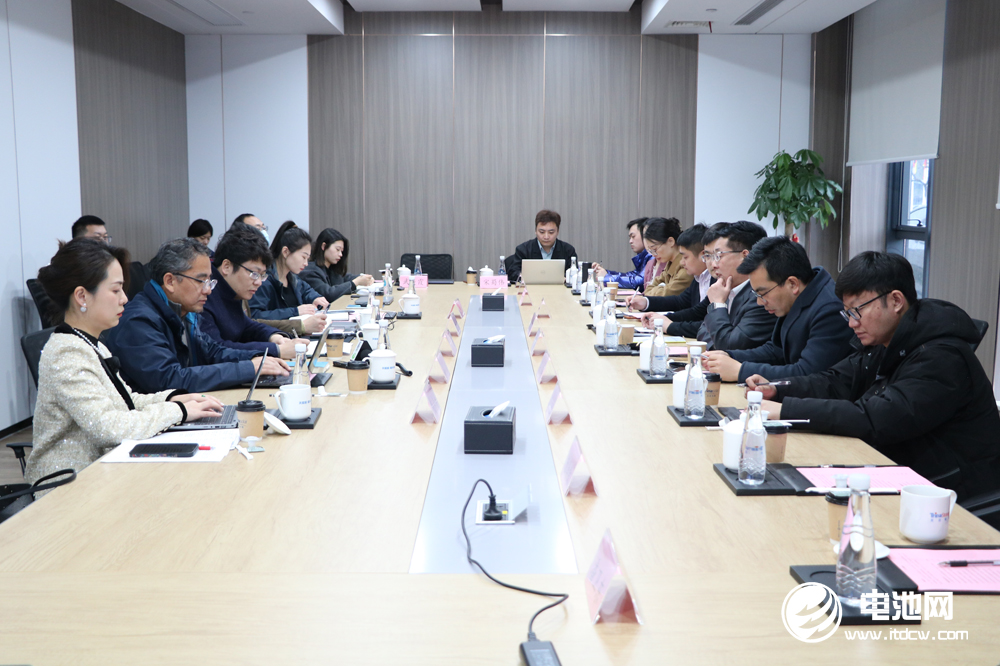 中国电池新能源产业链调研团一行参观考察天合储能