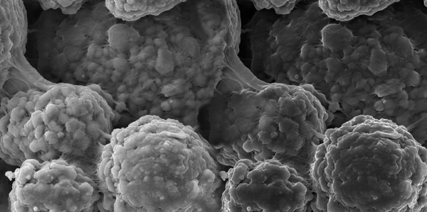 OCSiAl欧洲单壁碳纳米管分散液工厂即将完工